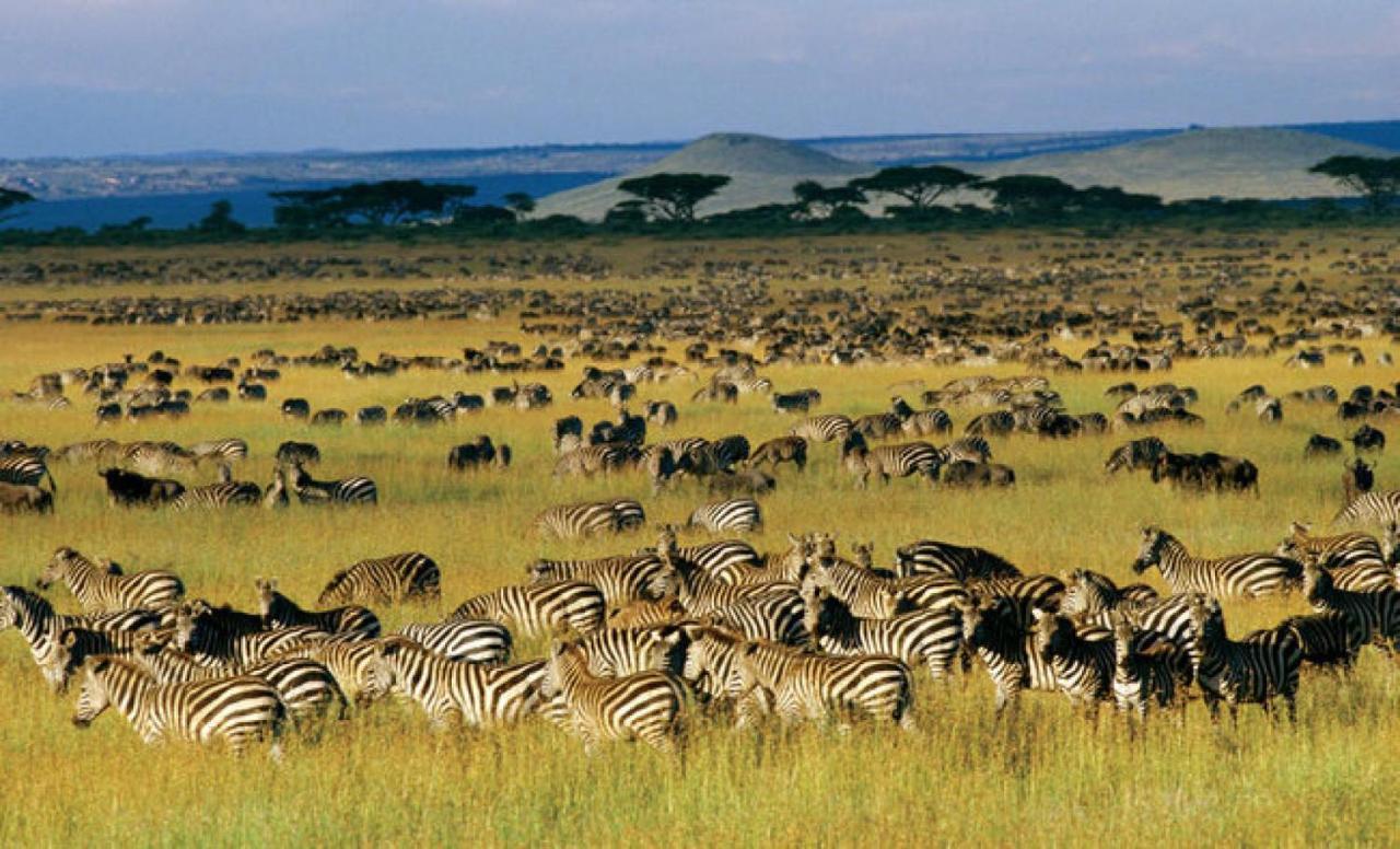 Walabi Mara Hotel Narok Esterno foto